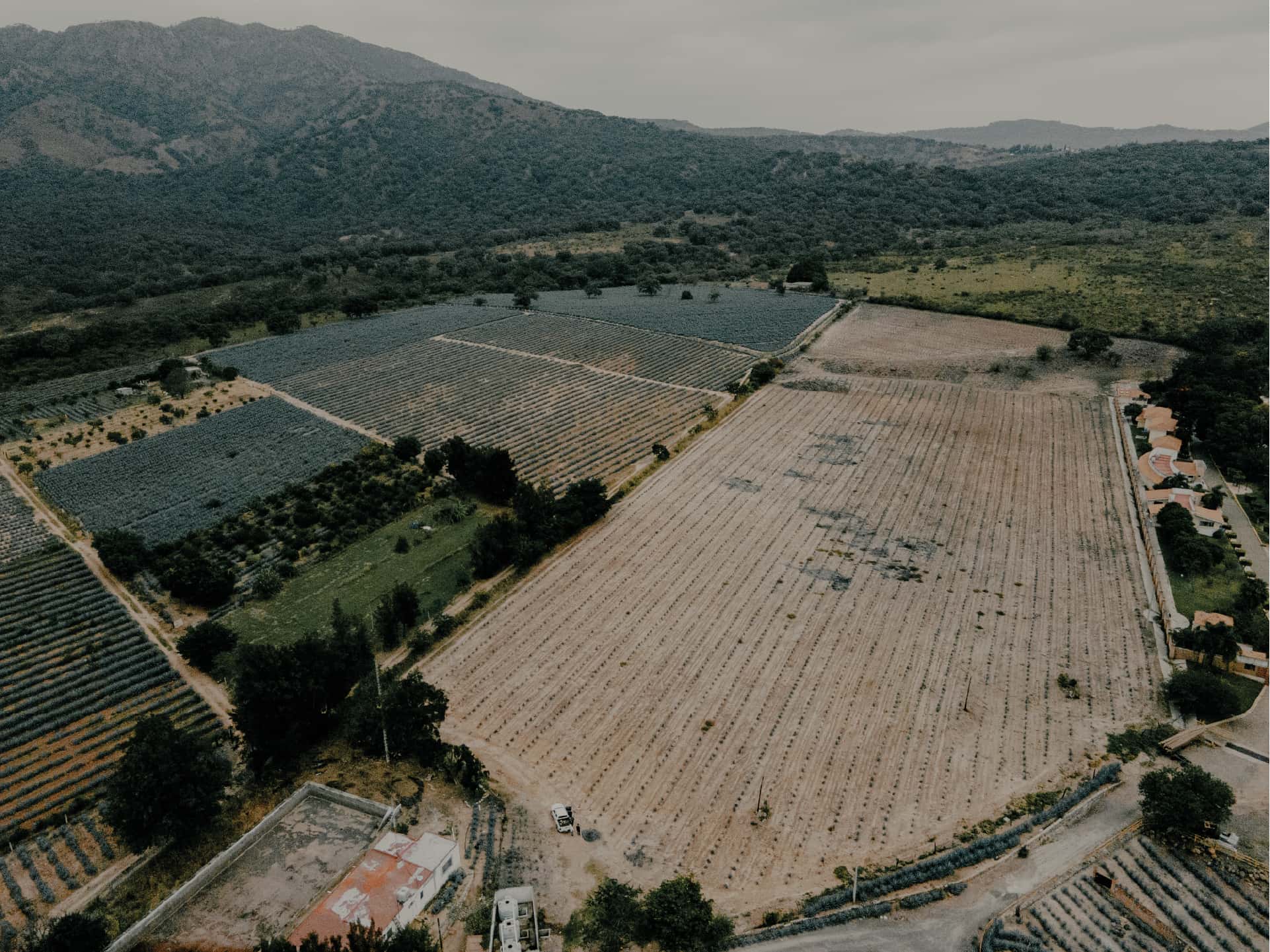 Llano de las Rosas